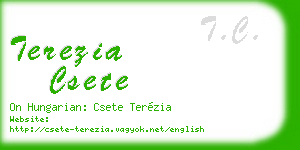 terezia csete business card